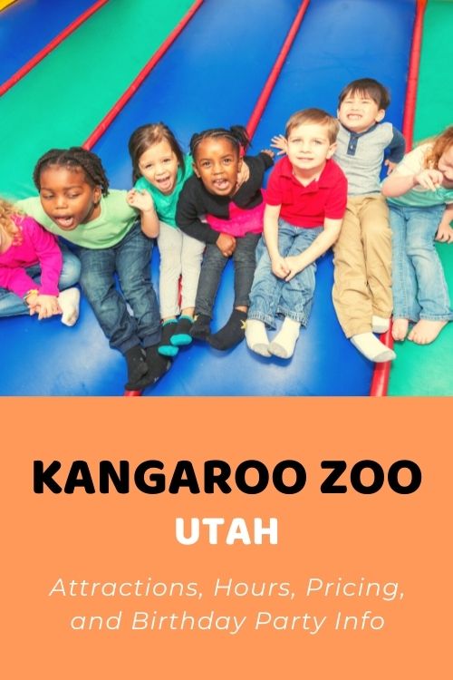 Kangaroo Zoo (Utah) Attractions, Hours, Pricing, & Birthday Party Info